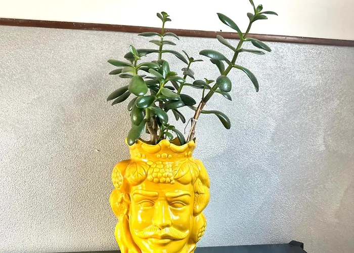 דירה Yellow House